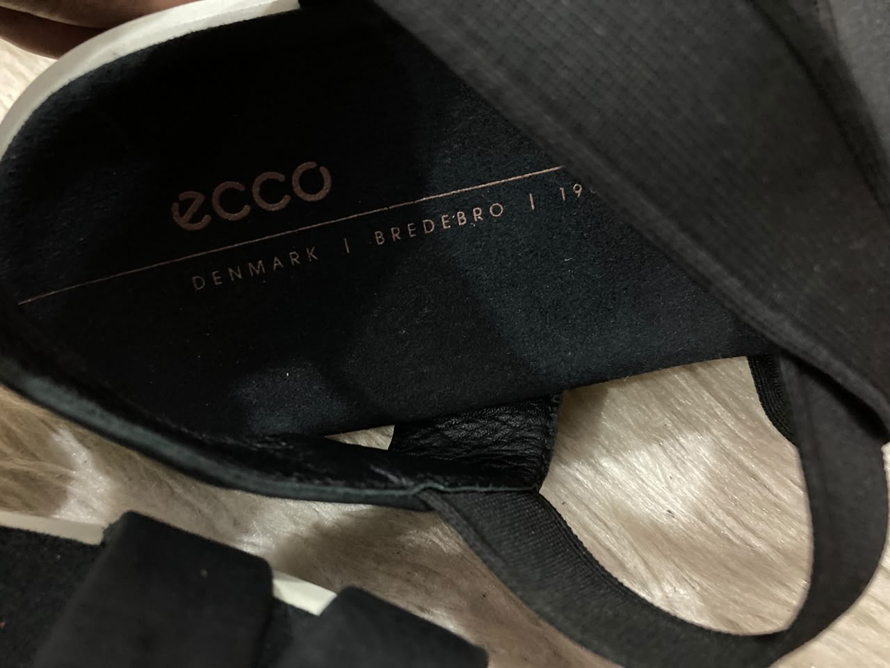 ECCO