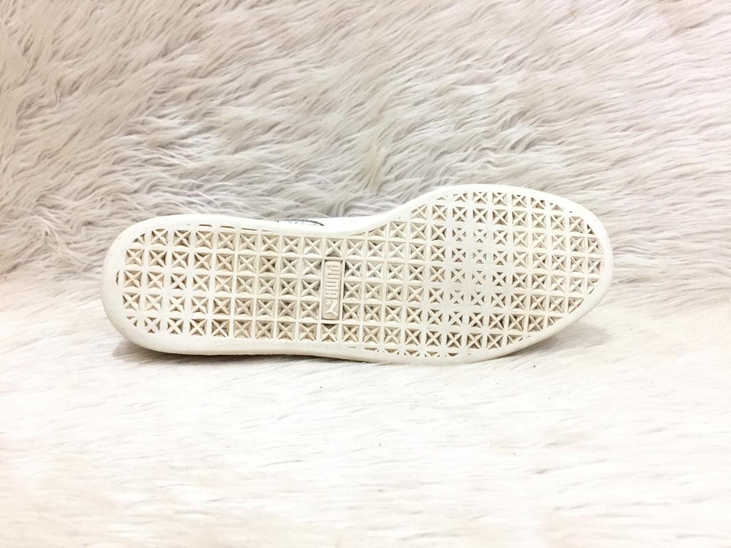 Puma lab