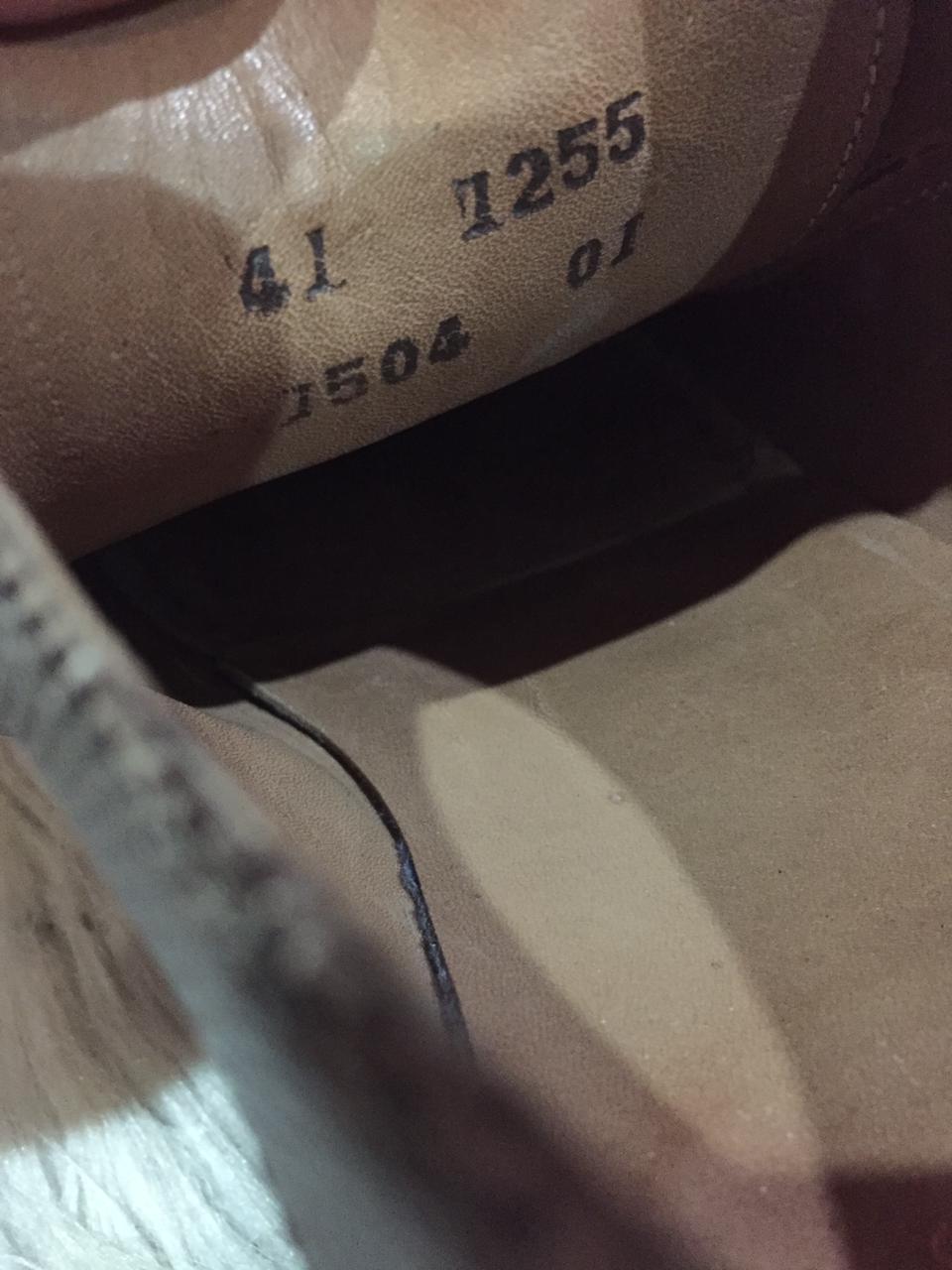 Ambiorix LATINO-1 Alveare