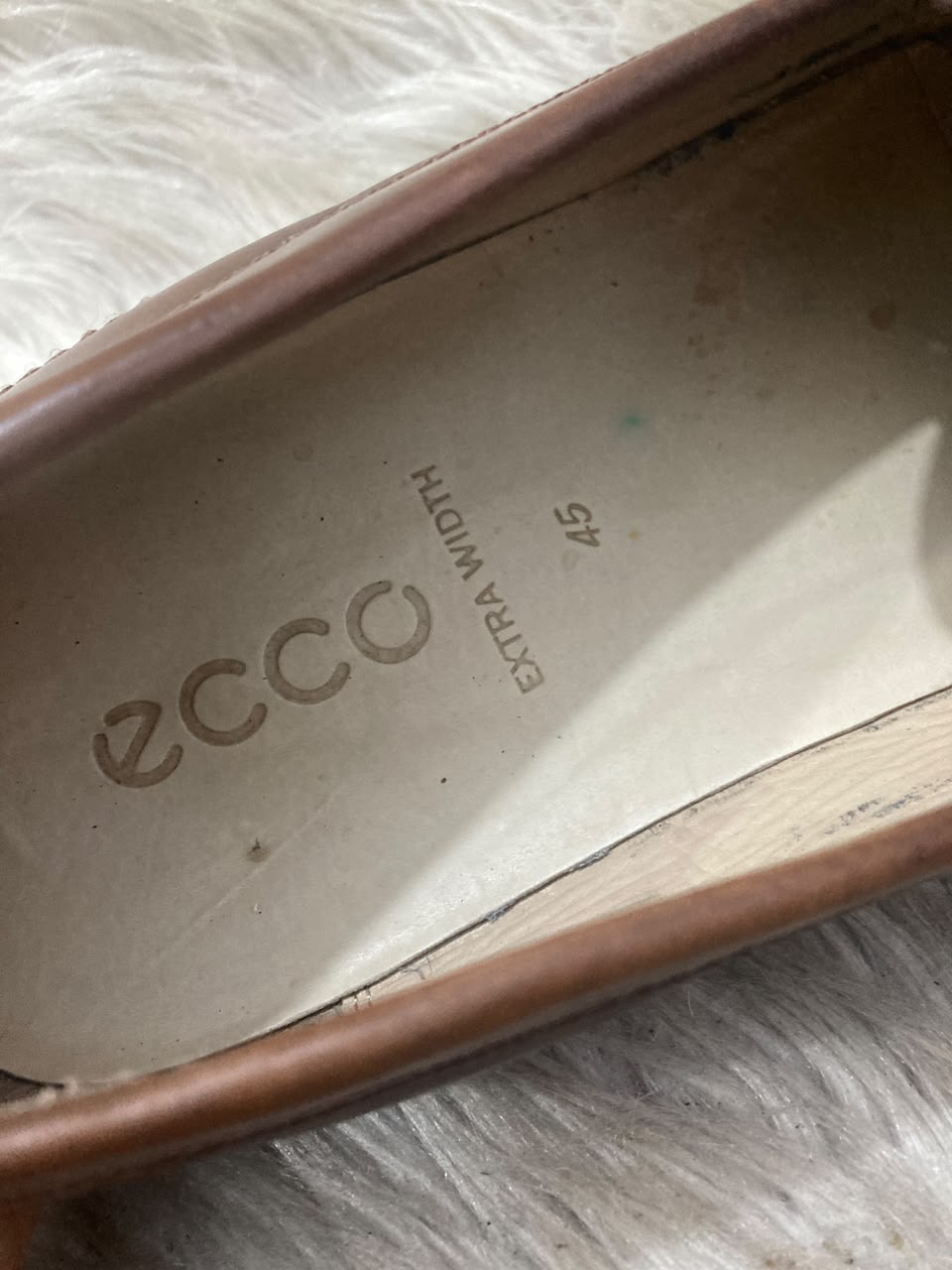 ECCO