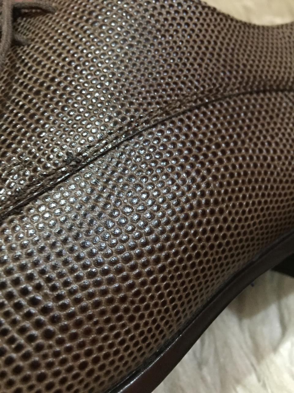 Ambiorix LATINO-1 Alveare