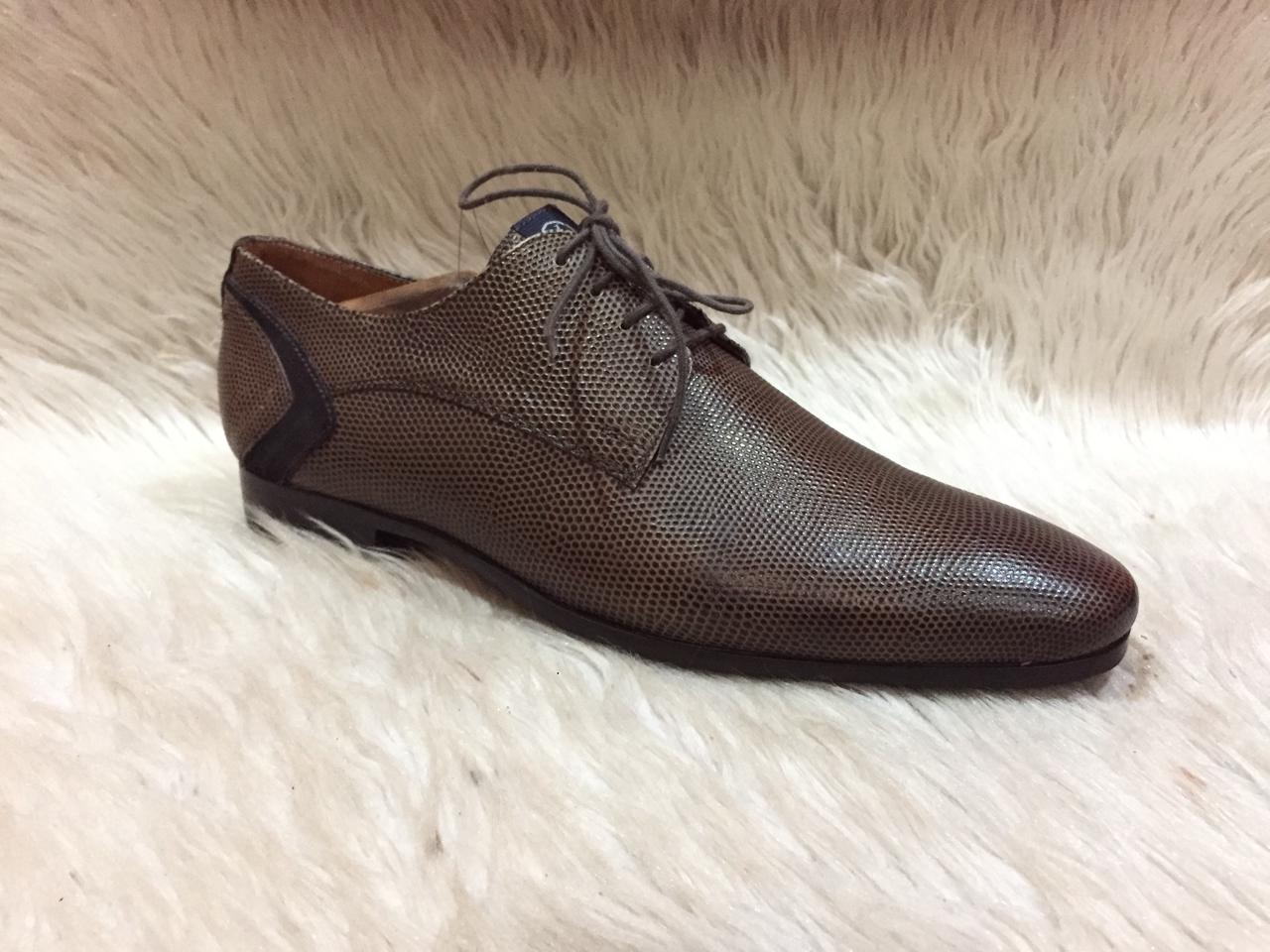 Ambiorix LATINO-1 Alveare