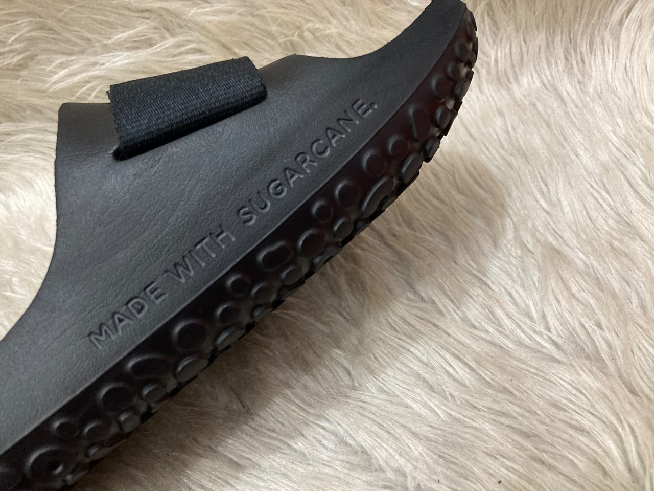 Allbirds
