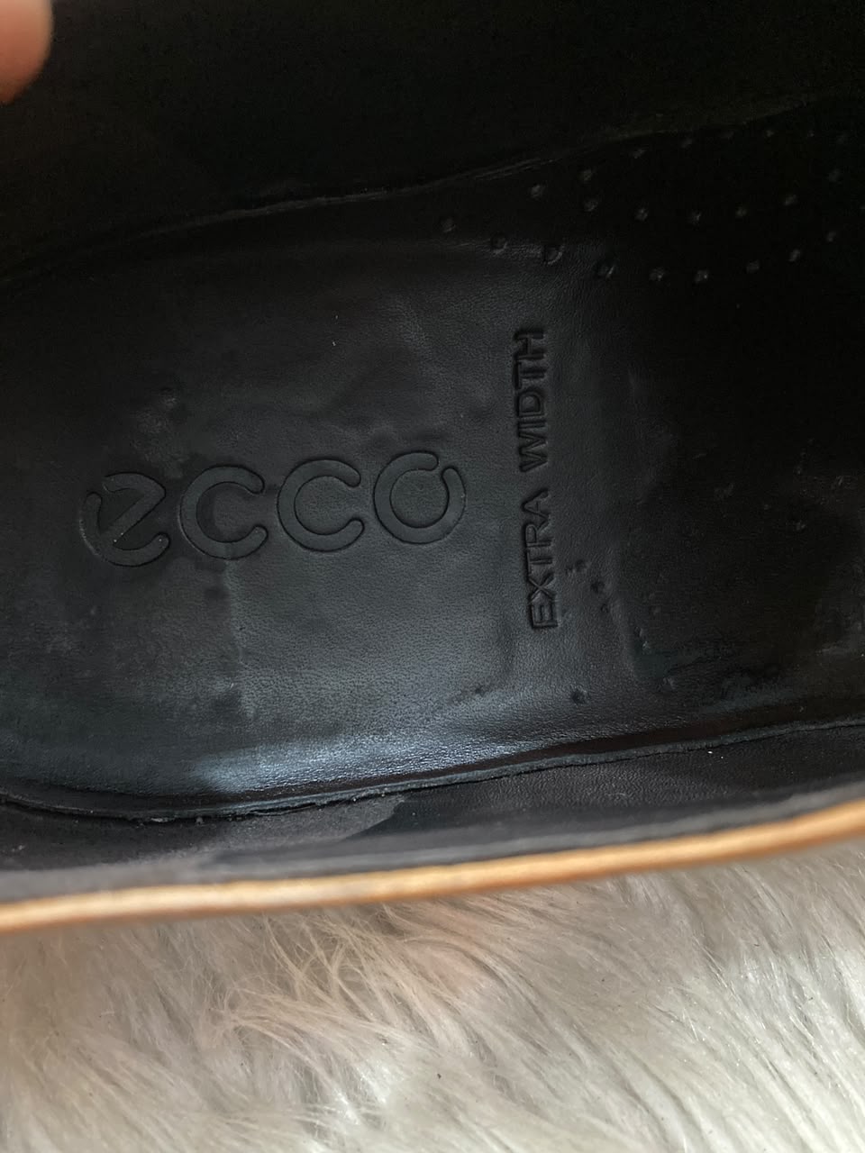 ECCO