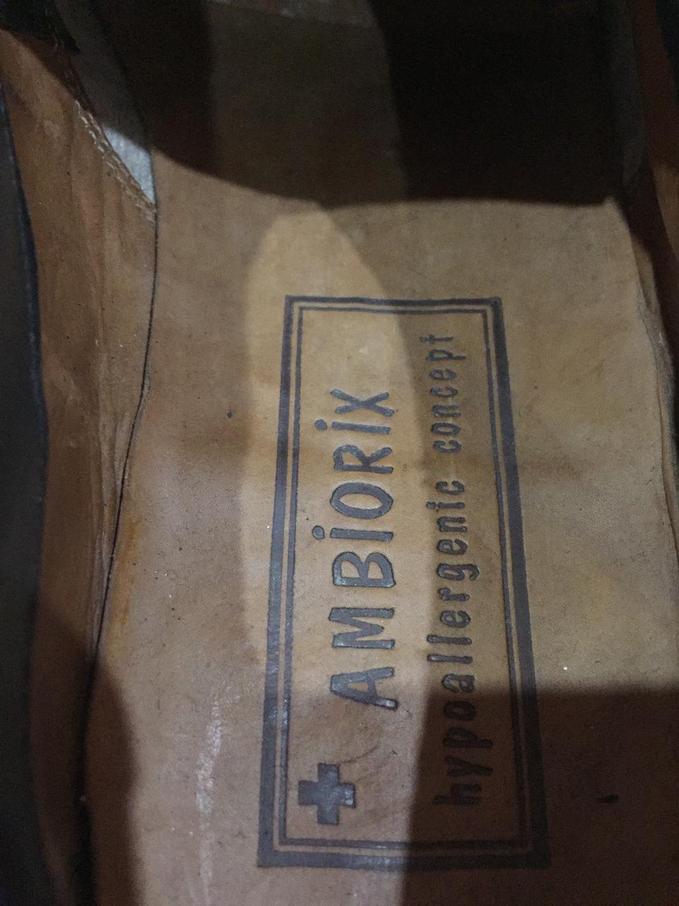 Ambiorix Monk Strap Dress Shoes