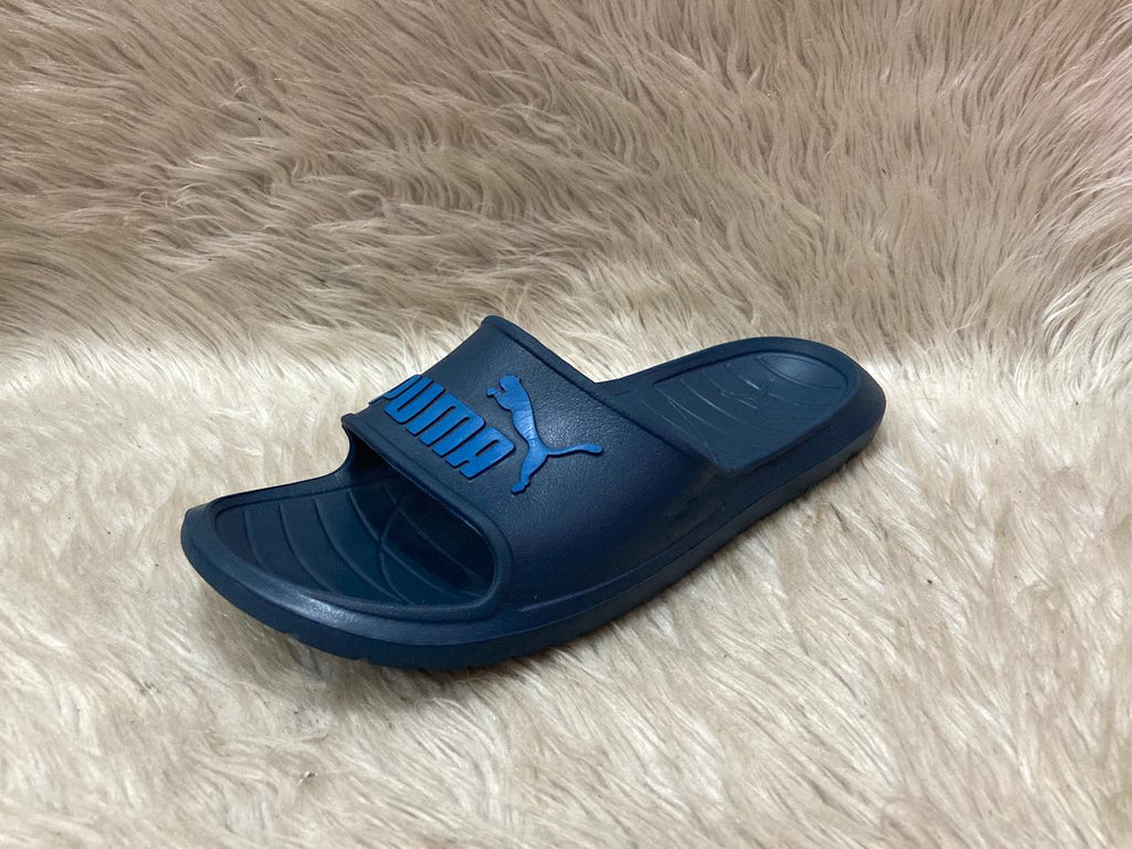 PUMA Divecat V2