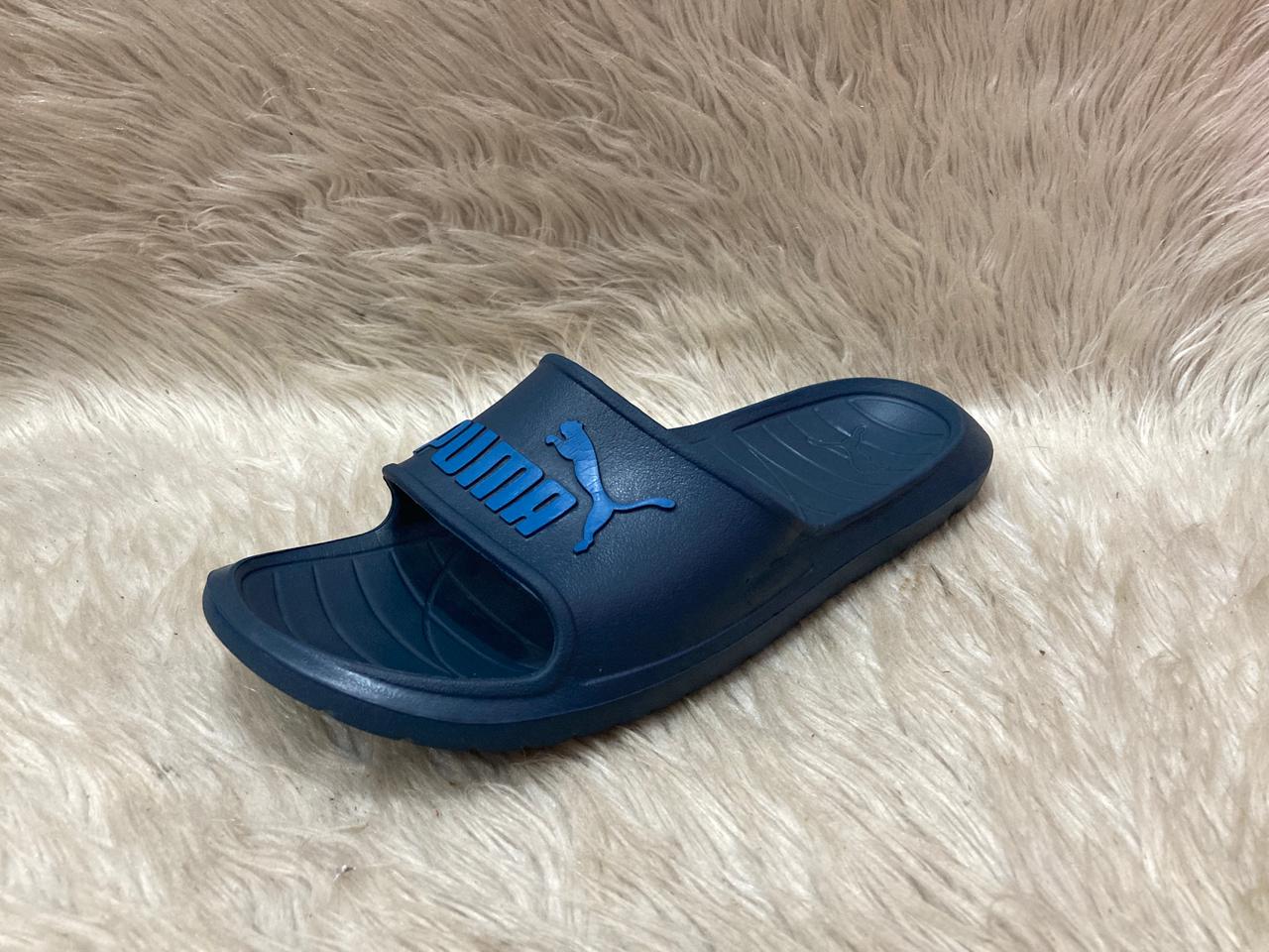 PUMA Divecat V2