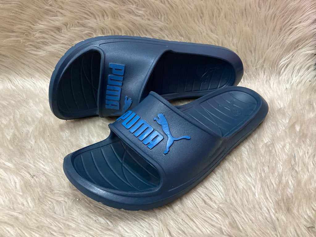 PUMA Divecat V2
