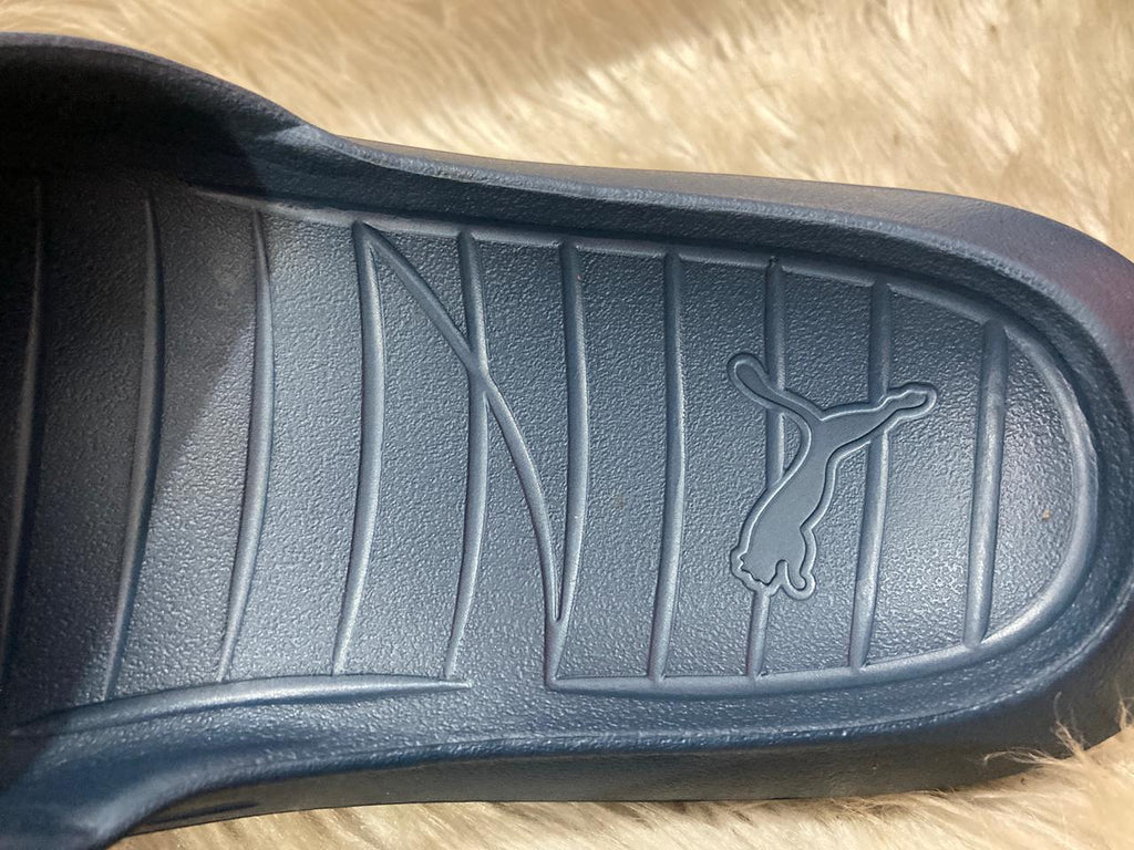 PUMA Divecat V2