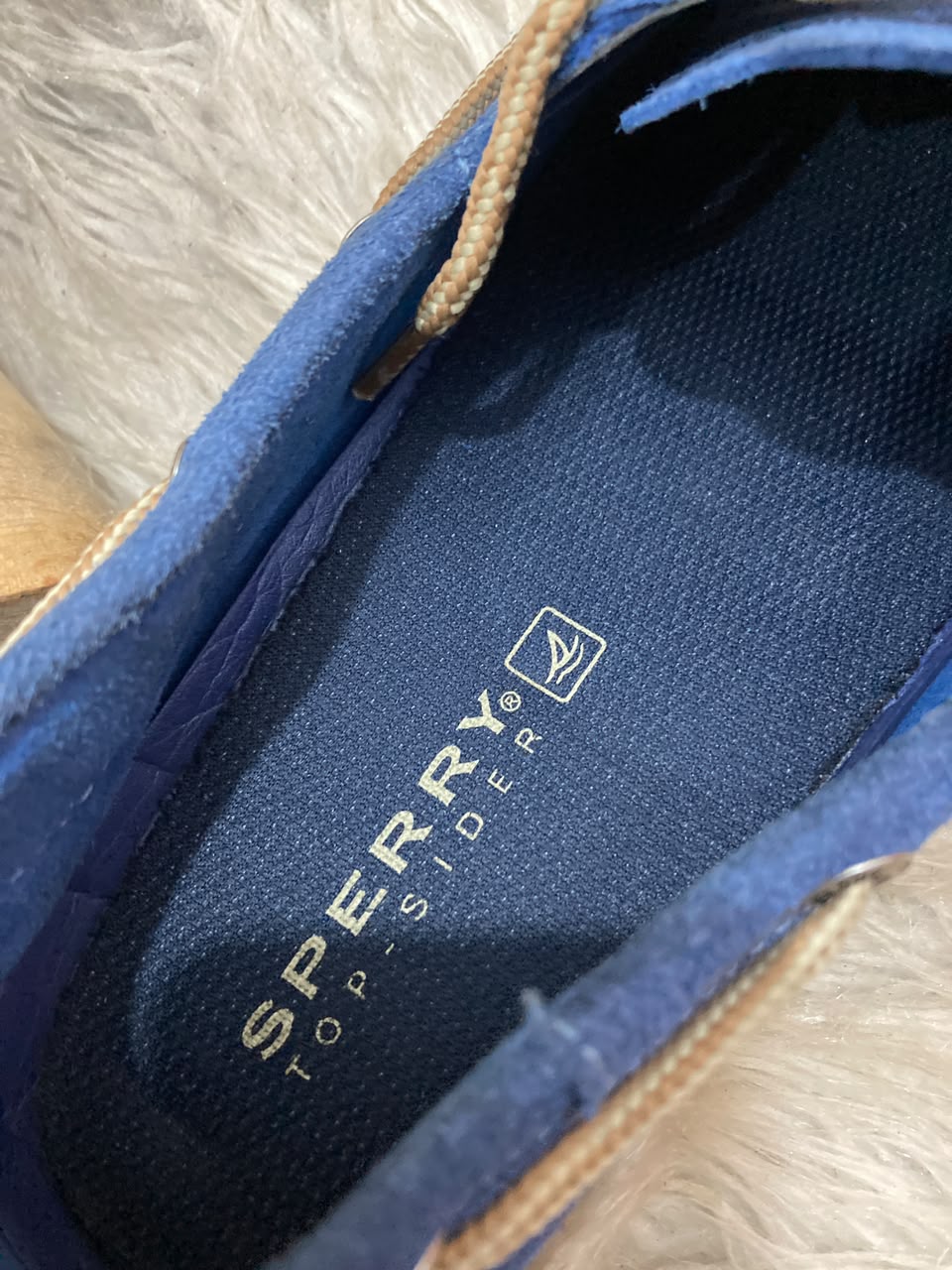 Sperry Authentic
